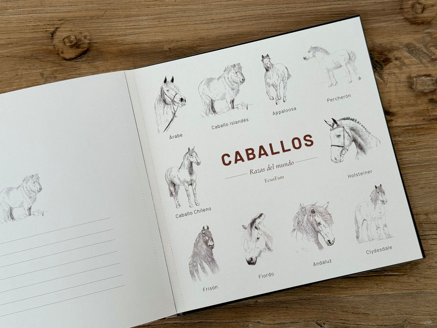 Libro Caballos, Razas del Mundo